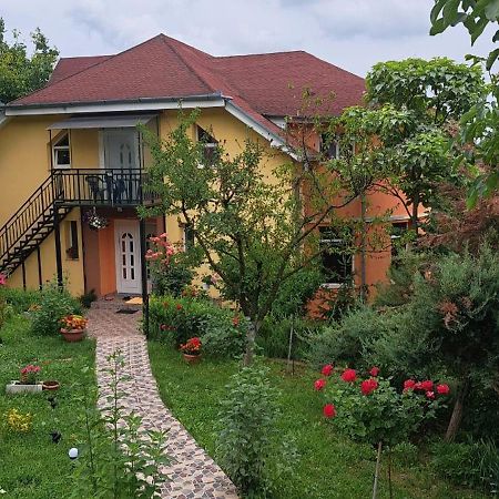 Casa Liana Hotel Oradea Luaran gambar