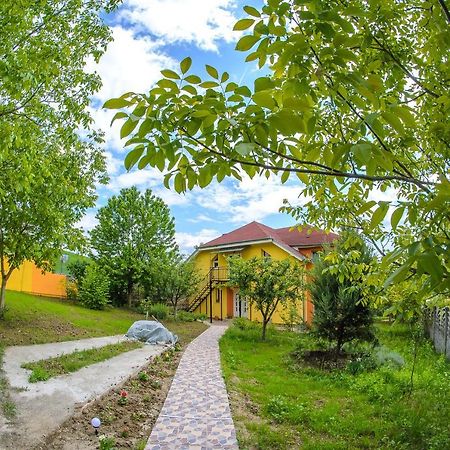 Casa Liana Hotel Oradea Luaran gambar